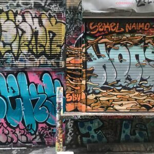 Pintura decorativa o artística (efecto especial)